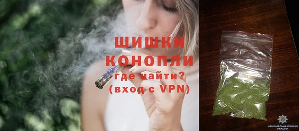 крисы Каменногорск