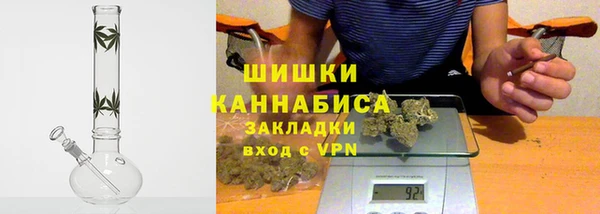 крисы Каменногорск