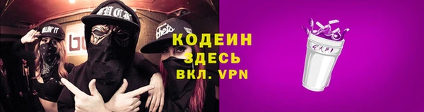 крисы Каменногорск