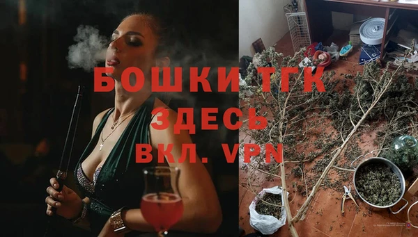 крисы Каменногорск