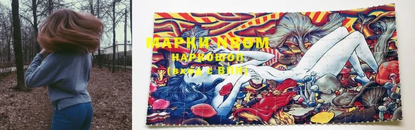 крисы Каменногорск