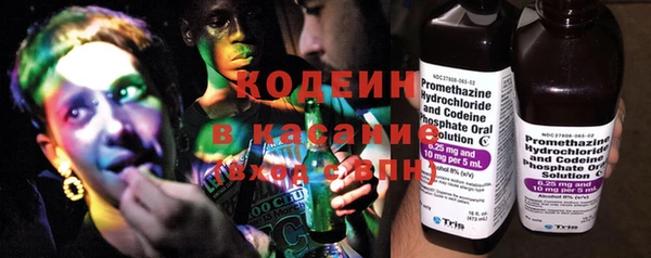 крисы Каменногорск
